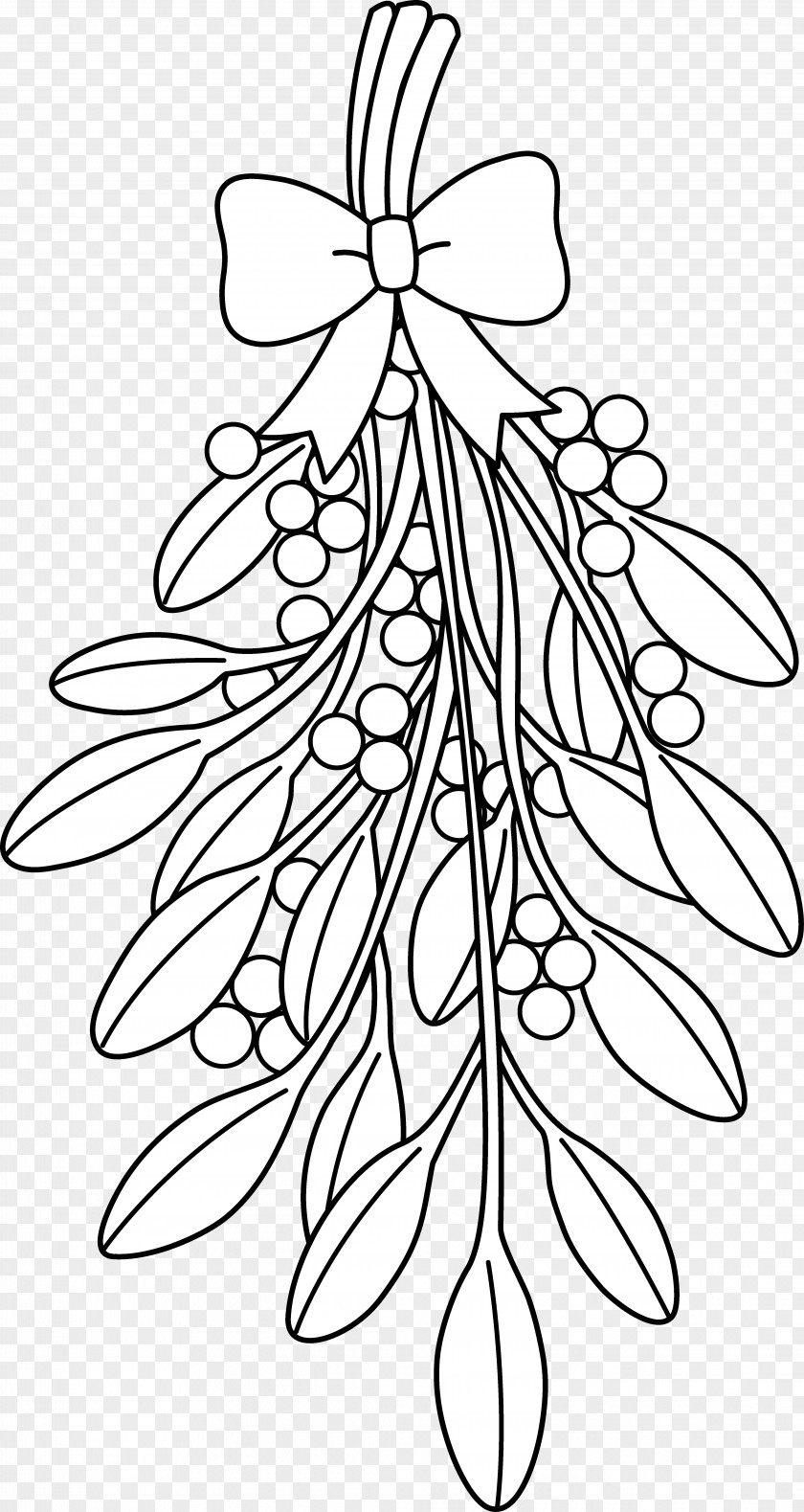 Tree Mistletoe Coloring Book Drawing Christmas PNG