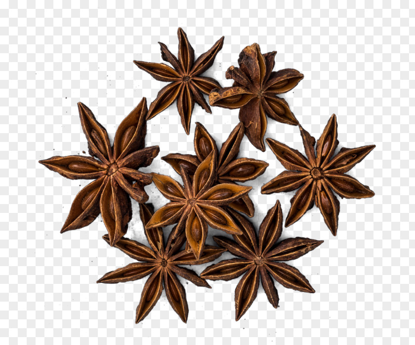Anise Five-spice Powder Star Herb PNG