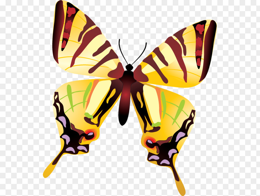 Butterfly Insect Embroidery Clip Art PNG