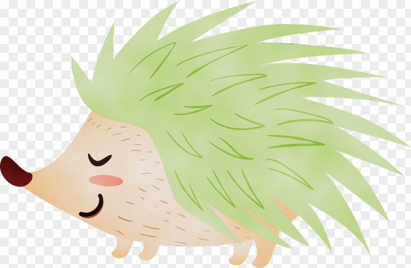 Cartoon Head Grass Porcupine Tail PNG