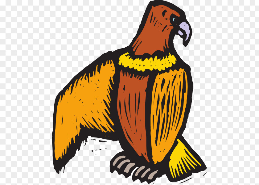 Claw Scratch Bird Beak Eagle Clip Art PNG