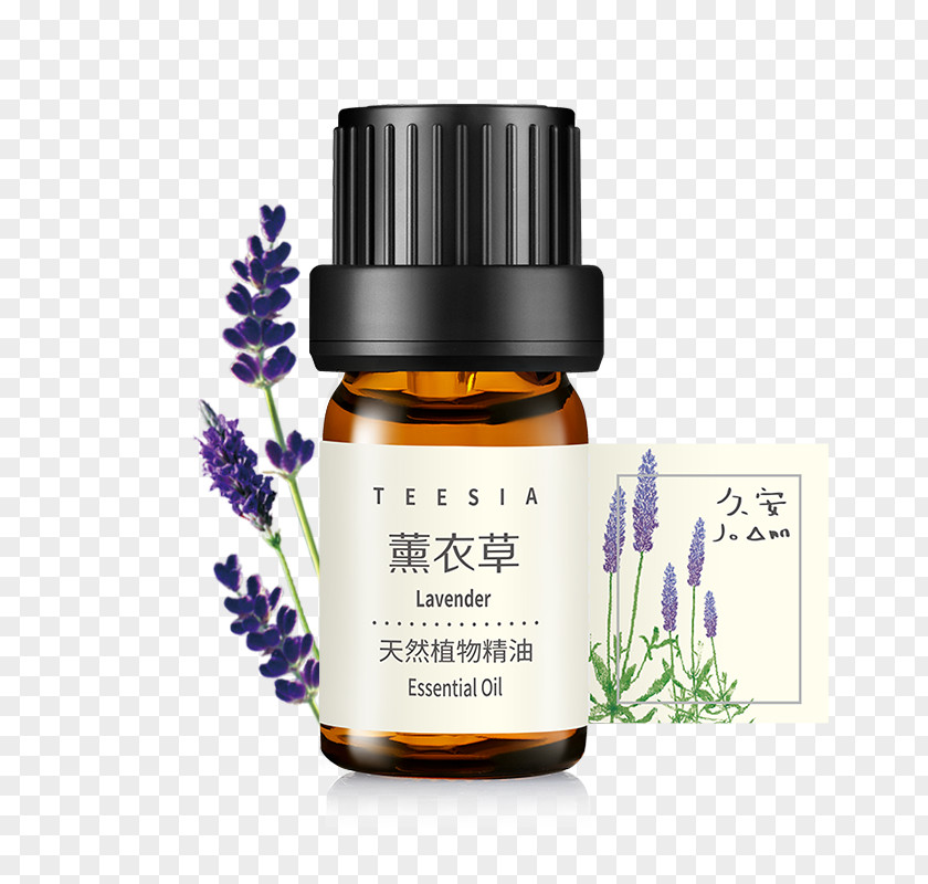 Essential Oil Gum Trees Taobao Lavender Water Mint PNG