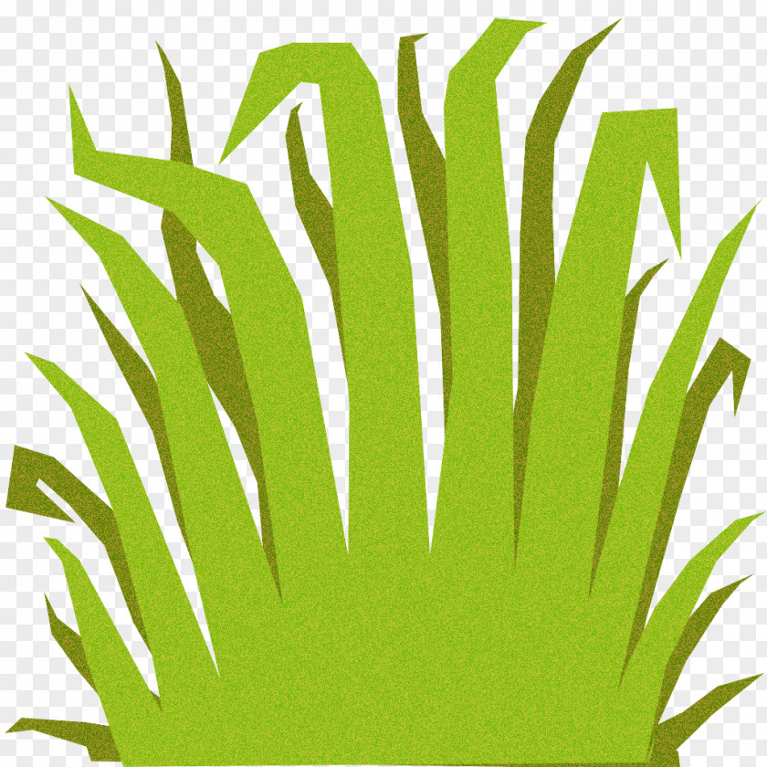 Grass Family Plant Green Clip Art PNG
