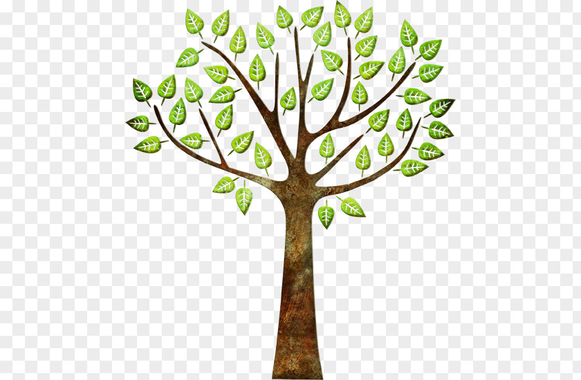 Tree Painting Data Structure Twig PNG