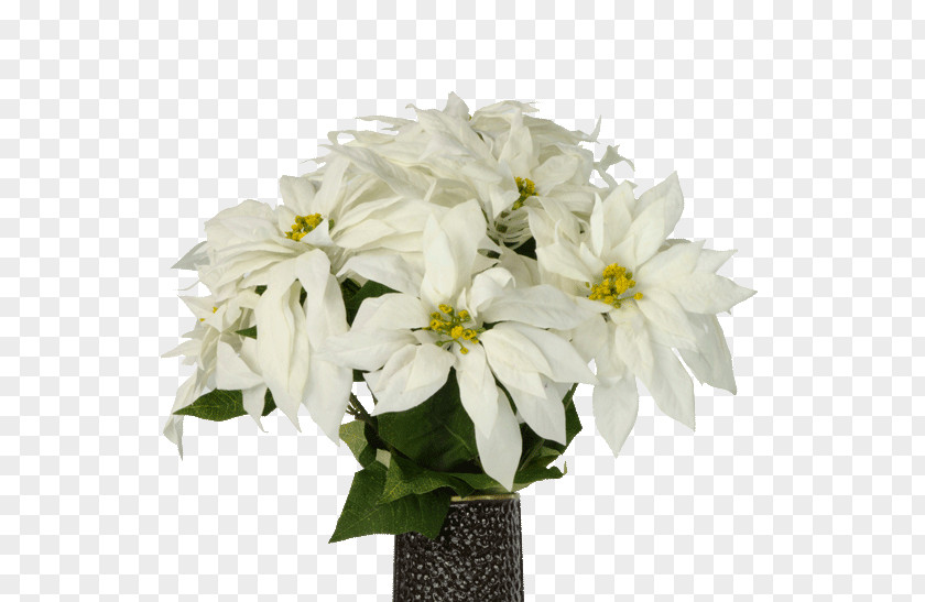 White Chrysanthemum Cut Flowers Poinsettia Powell Gardens Plant PNG