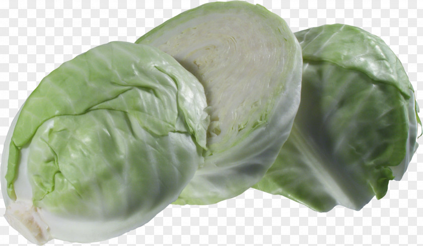 Chinese Cabbage Cruciferous Vegetables Roll Tursu Napa PNG