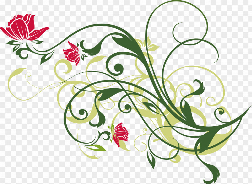 Creative Curly Flowers Safflower Decorative Vector Floral Design Flower PNG