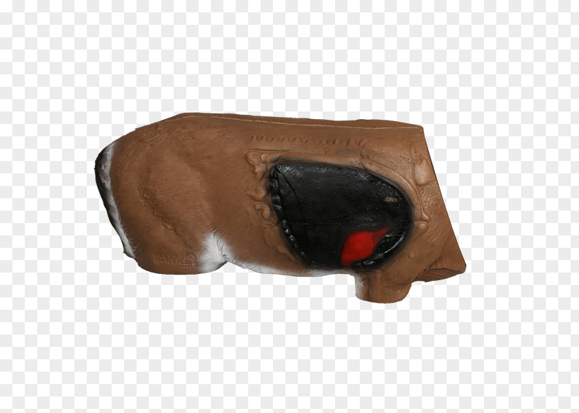 Dog Shoe Snout PNG