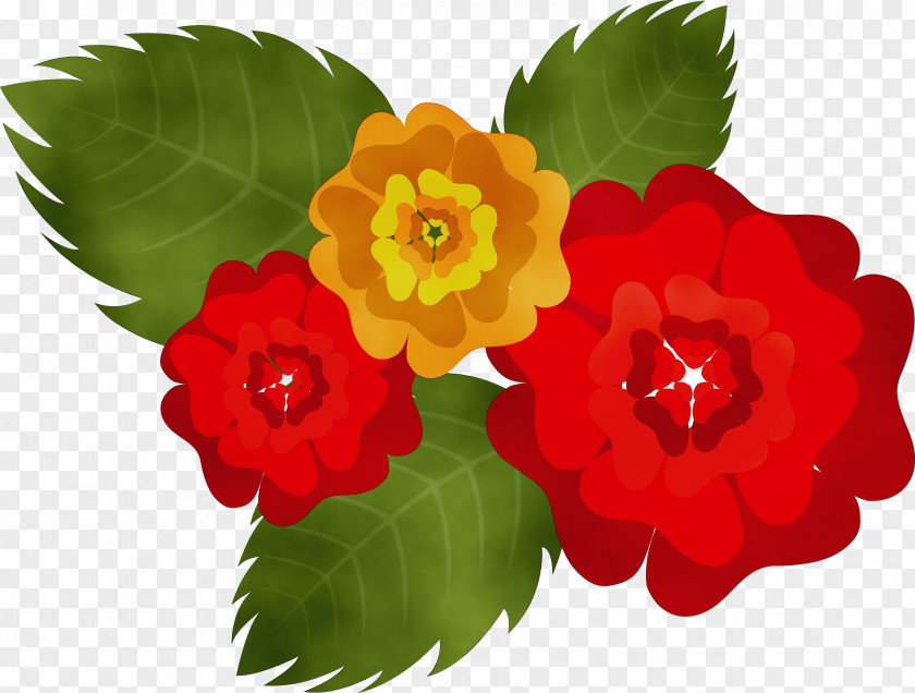 Floral Design PNG