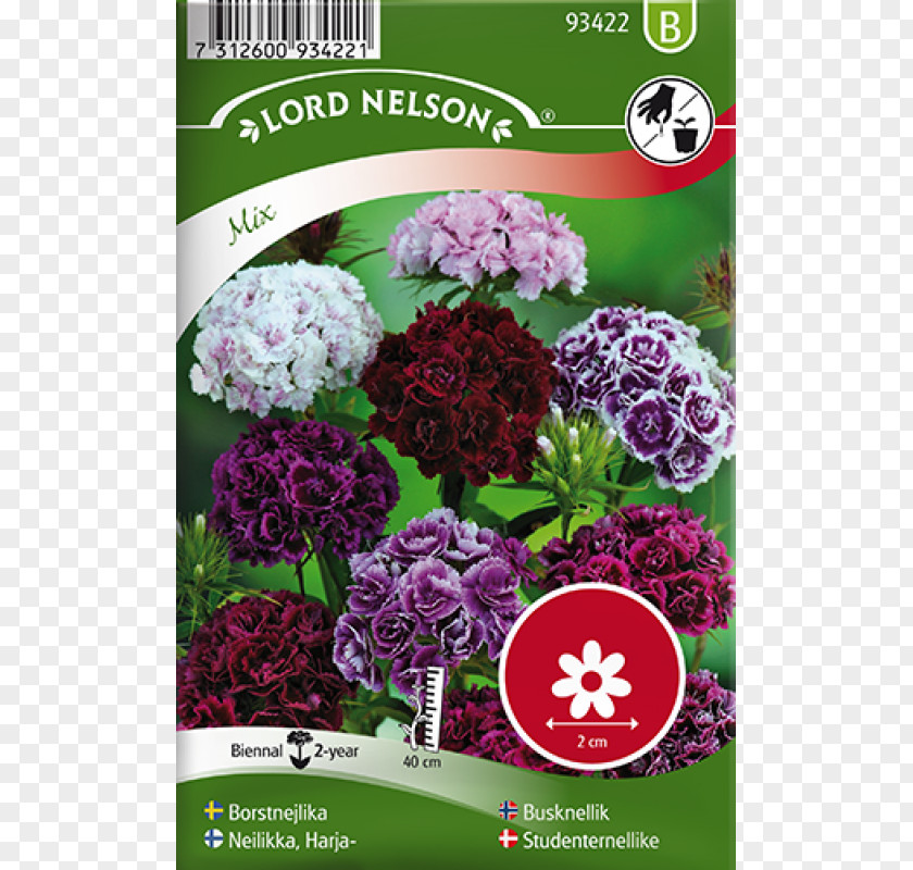 Flower Seed Sweet William Color Nasturtium PNG