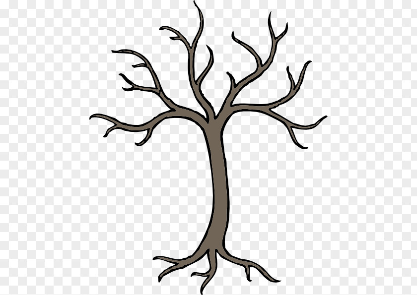 Plane Trunk Tree Drawing PNG