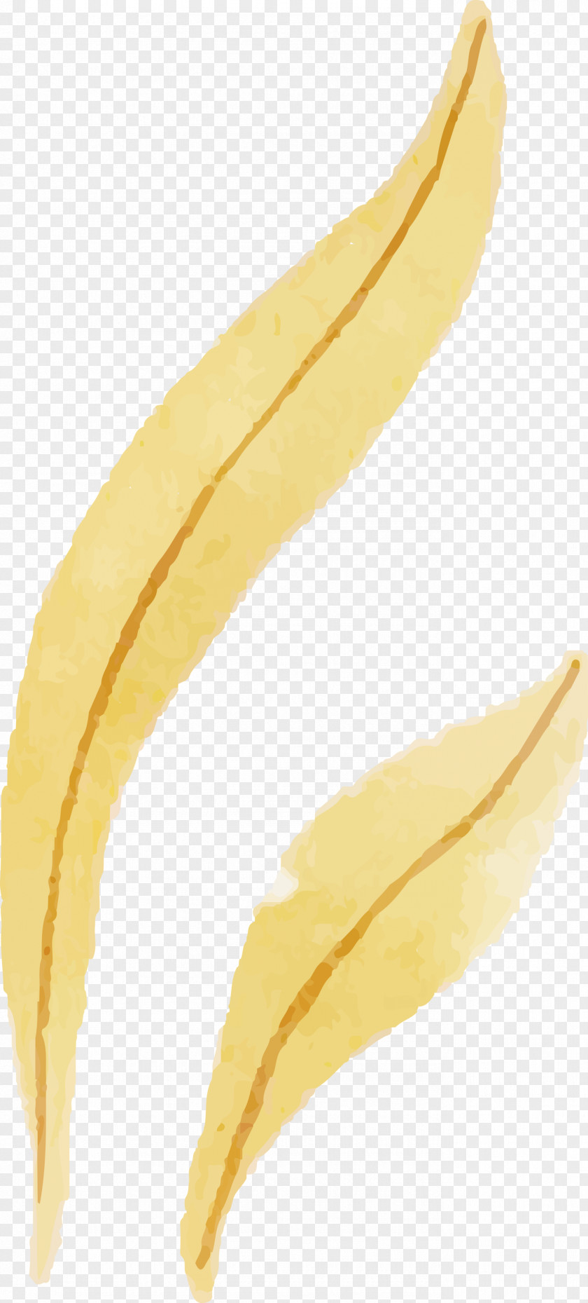 Yellow PNG