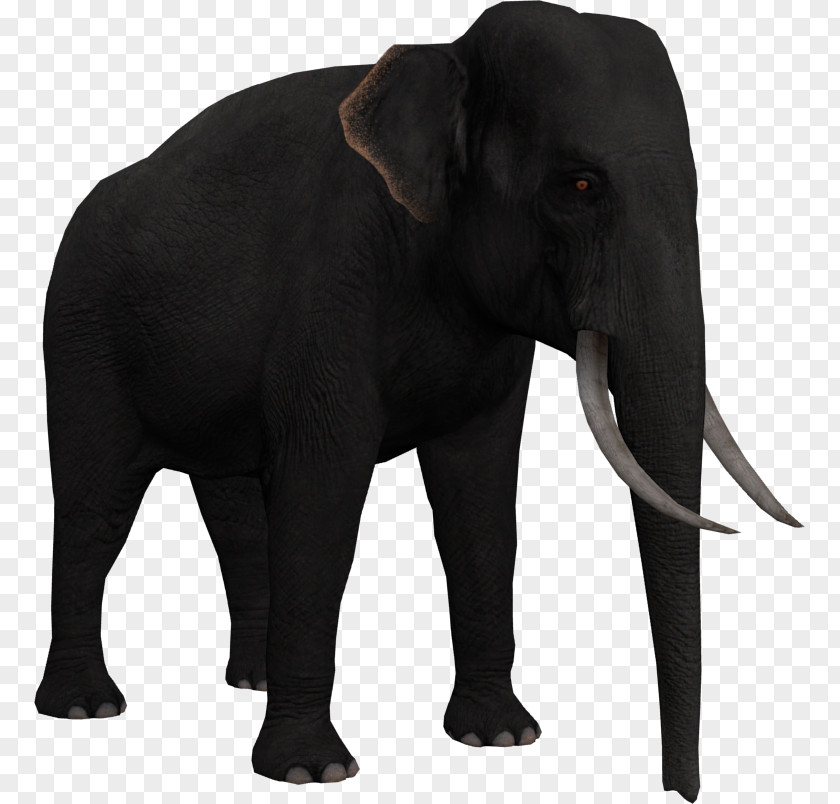 Animal Figure Black Elephant Background PNG