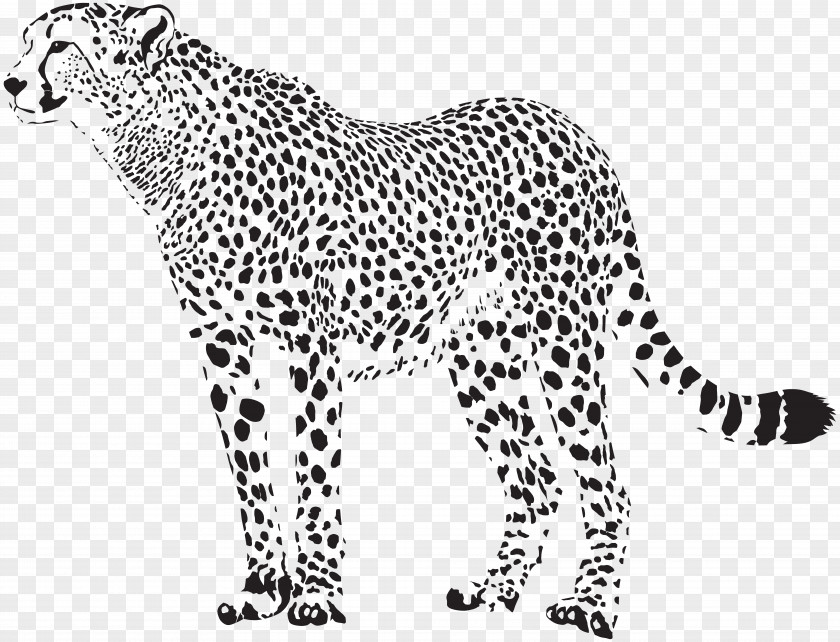 Cheetah Silhouette Transparent Clip Art Image Felidae Leopard PNG