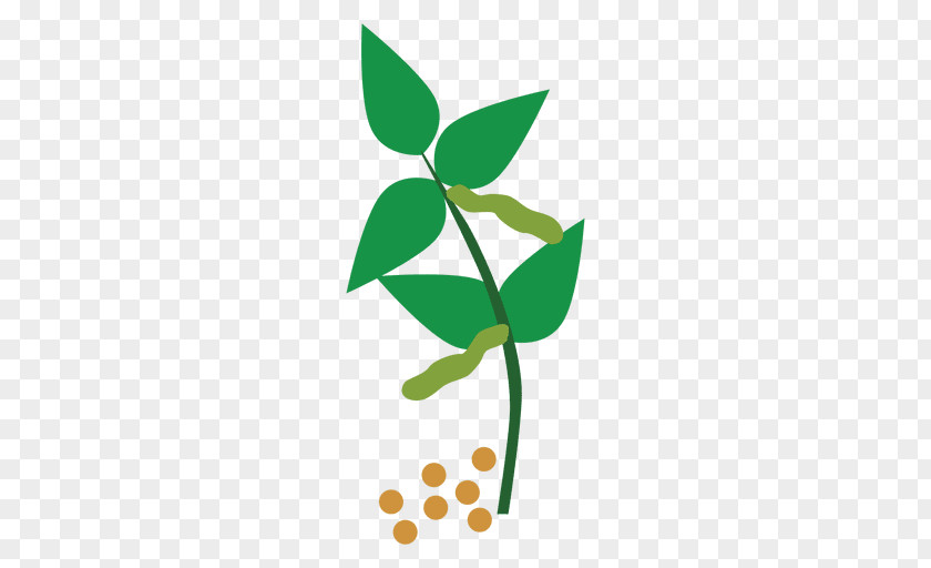 Cuerda Clip Art Plant Stem Common Bean Plants PNG