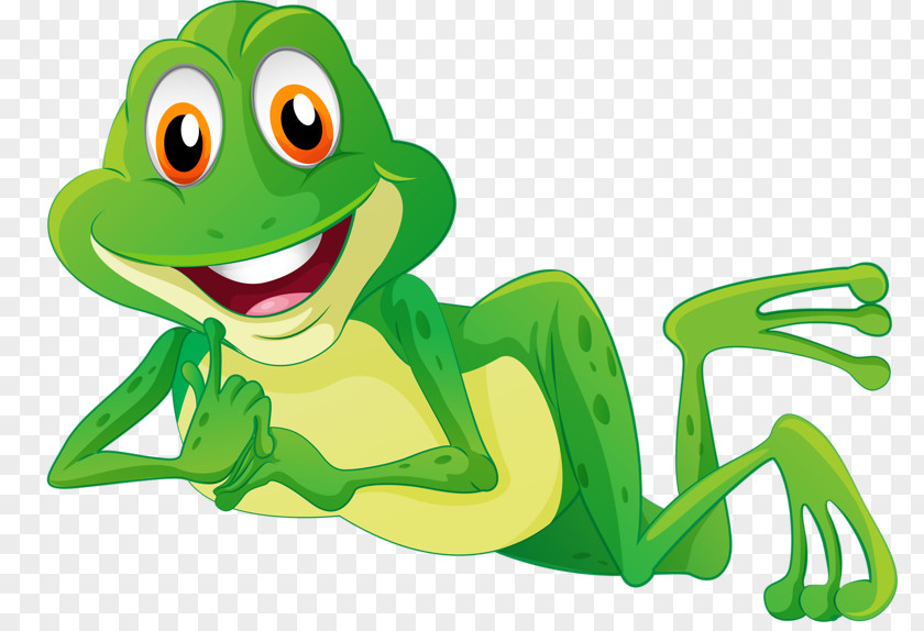 Cute Frog Stock Photography Clip Art PNG
