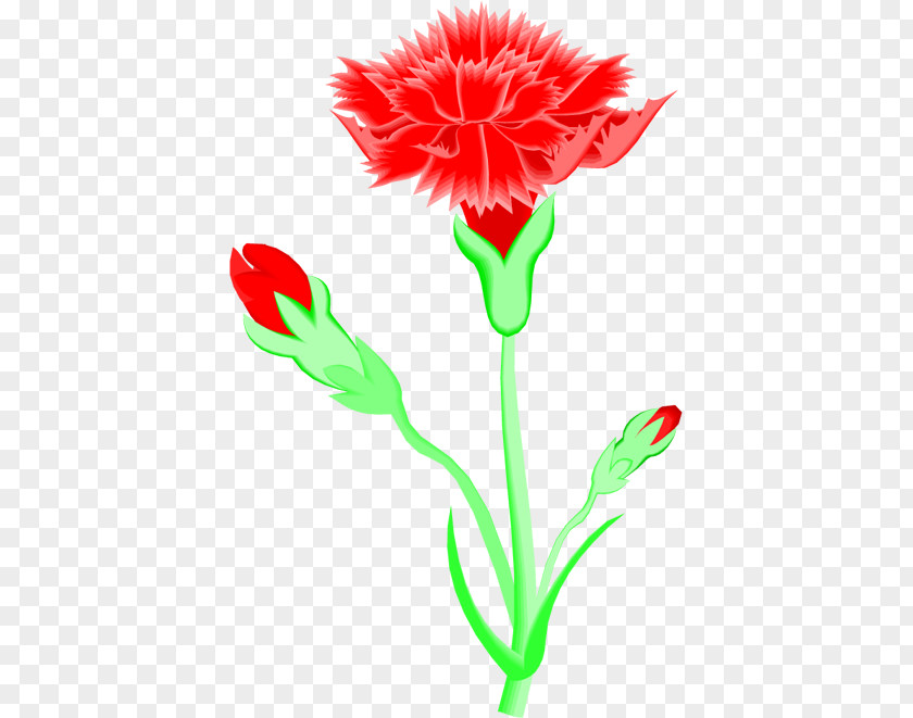 Flower Carnation Cut Flowers Clip Art PNG