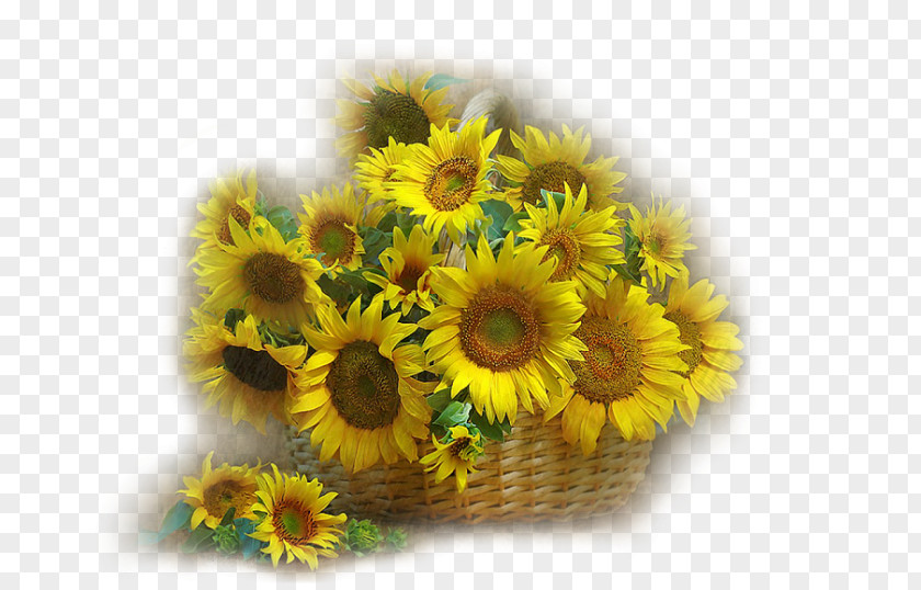 Flower Common Sunflower Floral Design Birthday Cut Flowers PNG