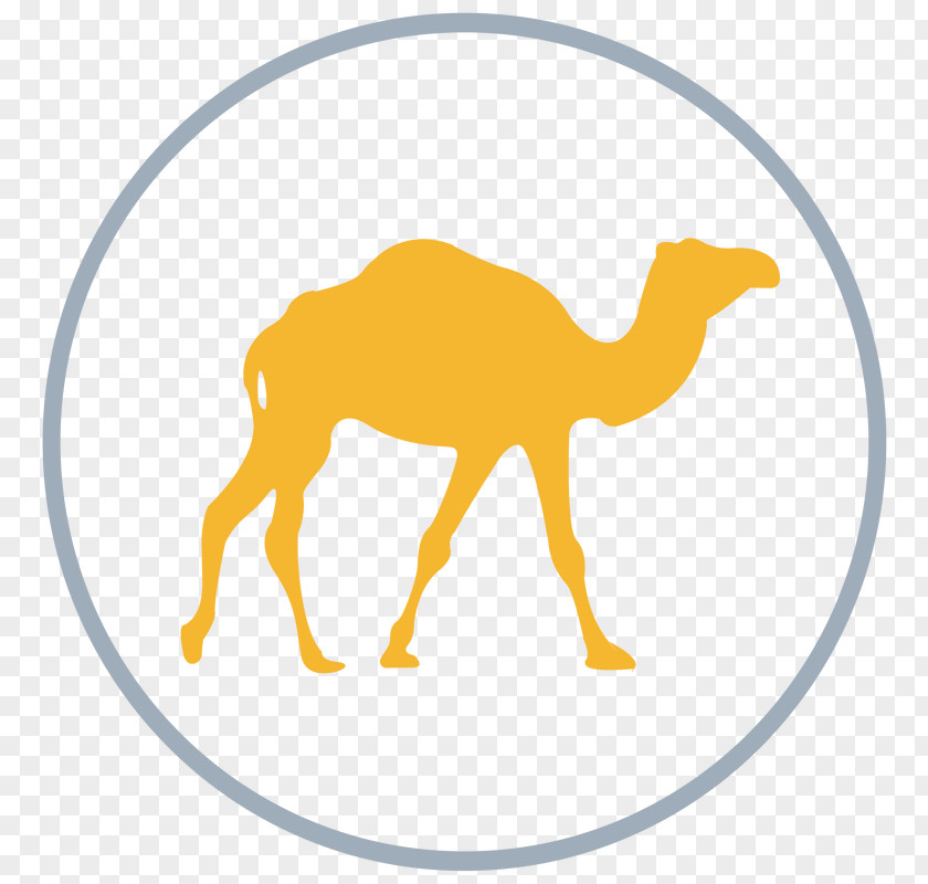 Opening Ceremony Coat Vector Graphics Dromedary Bactrian Camel Illustration Clip Art PNG