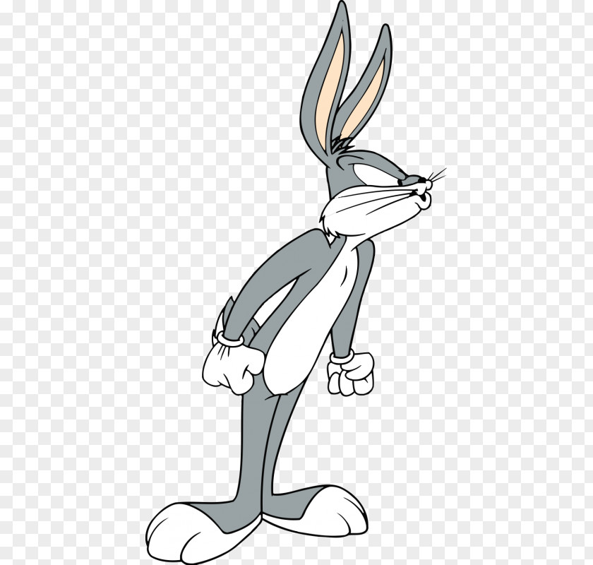 Rabbit Bugs Bunny Looney Tunes Stock Photography Image Cartoon PNG