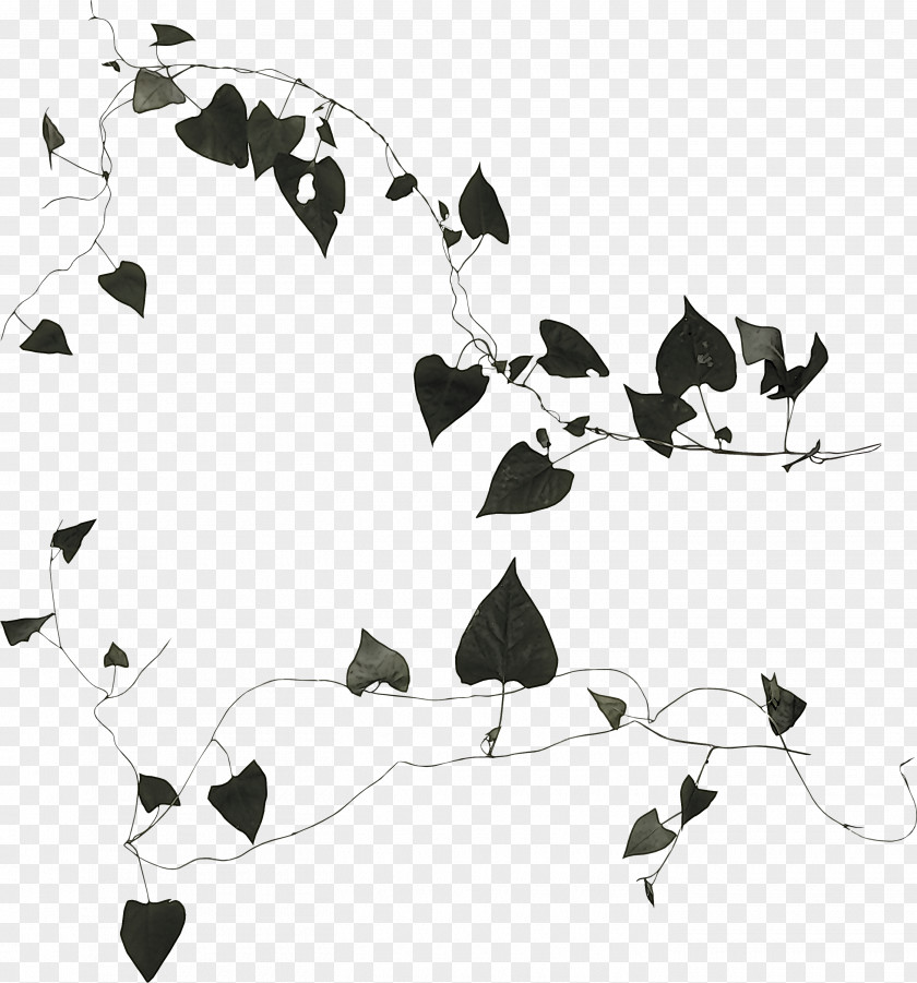 Stencil Blackandwhite Leaf Black-and-white PNG