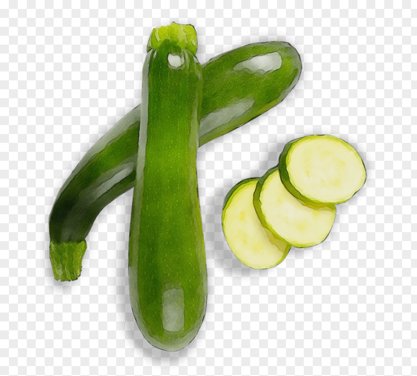 Legume Cucumber Gourd And Melon Family Vegetable Plant Zucchini Cucumis PNG