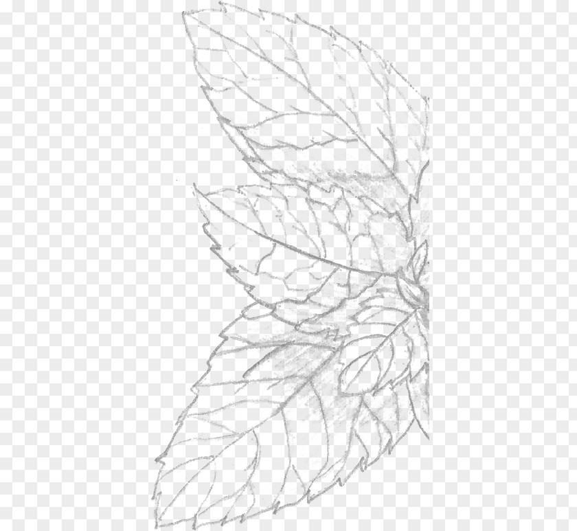 Moroccan Spices And Herbs Sketch Pattern Line Art Point Angle PNG