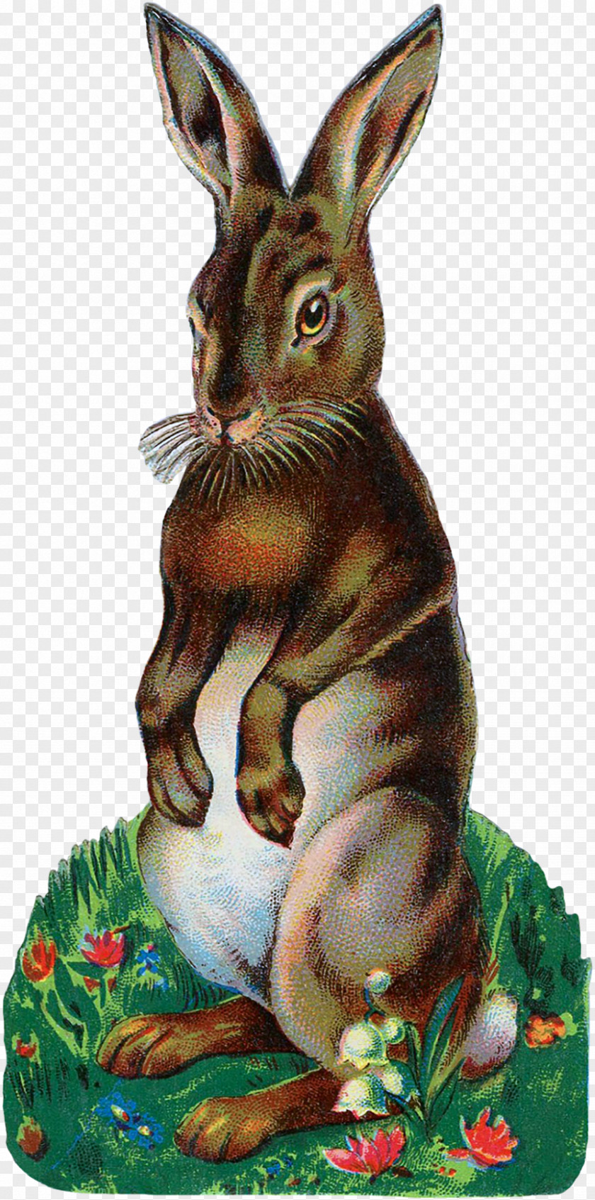 Rabbit Easter Bunny Angora Clip Art PNG