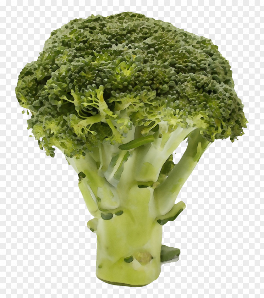 Superfood Vegetarian Food Vegetables Cartoon PNG