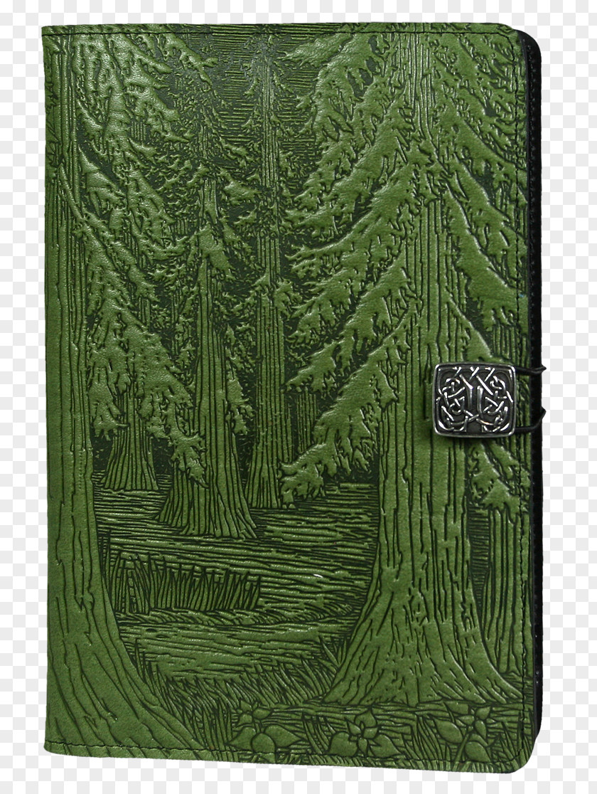 Amazon Rainforest IPad Mini Leather Oberon Design Color PNG