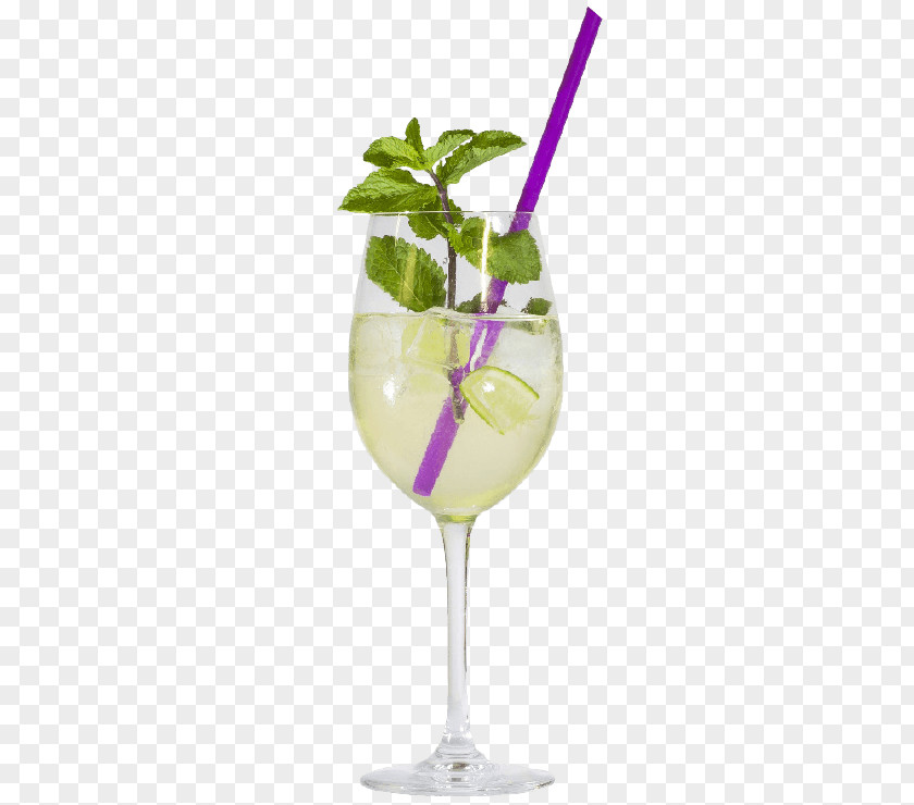 Gin Fizz Cocktail Garnish Apéritif Spritz Aperol PNG