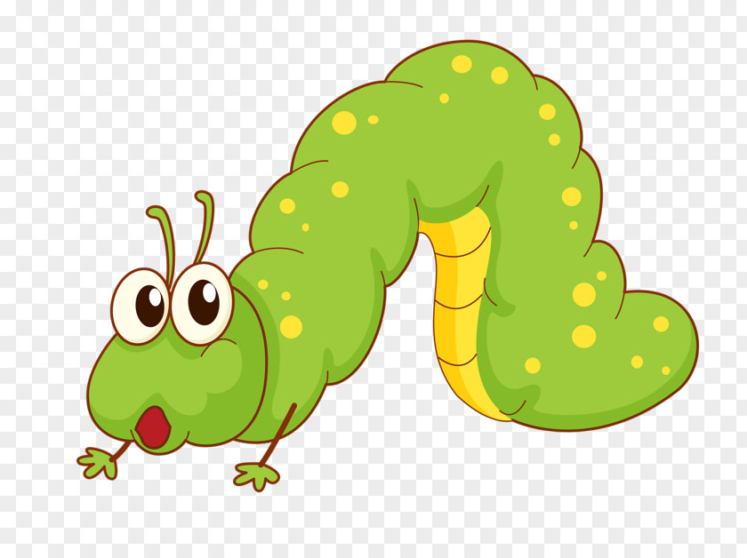 Green Bug Caterpillar Cartoon Clip Art PNG