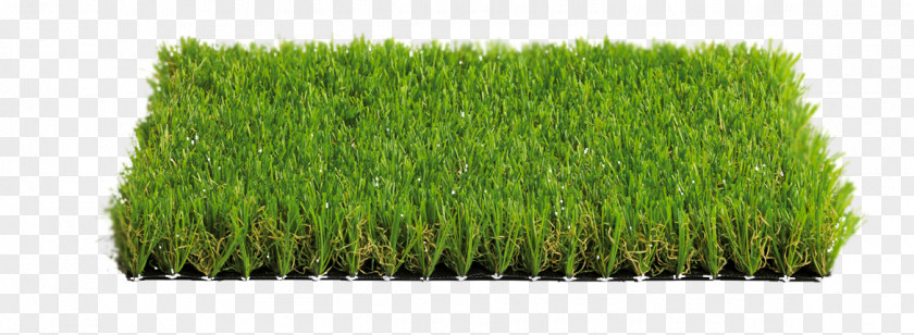 Green Landscape Artificial Turf Italgreen SpA Meadow Prato Price PNG
