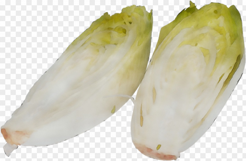 Leaf Vegetable Food Plant Endive Caigua PNG