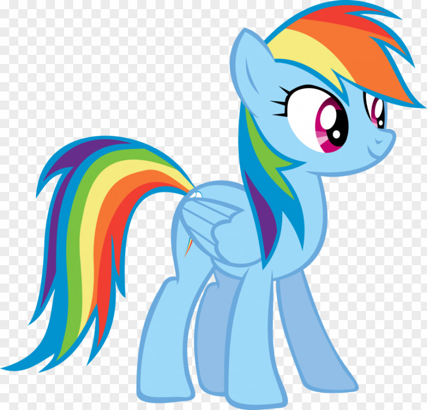 My Little Pony Rainbow Dash Rarity Twilight Sparkle Pinkie Pie PNG