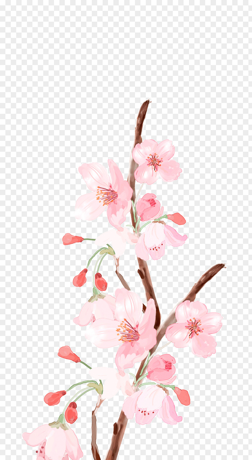Flower Pink Color PNG