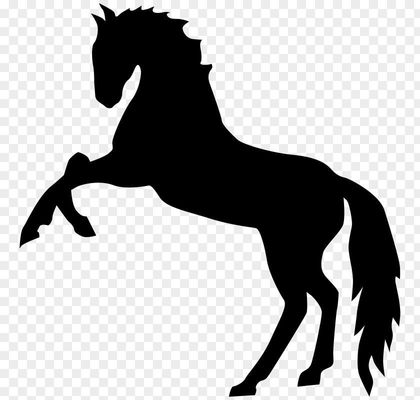 Mustang Stallion Rearing Clip Art PNG