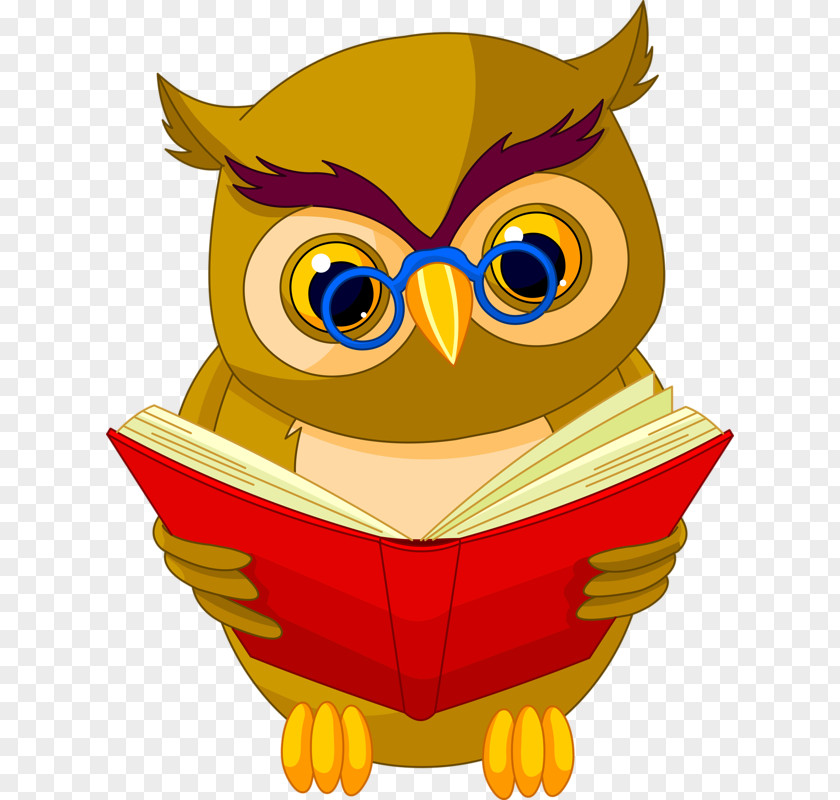 Owl Book Clip Art PNG