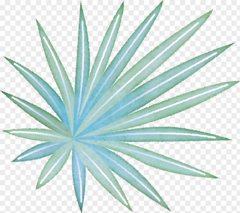 Palm Trees PNG