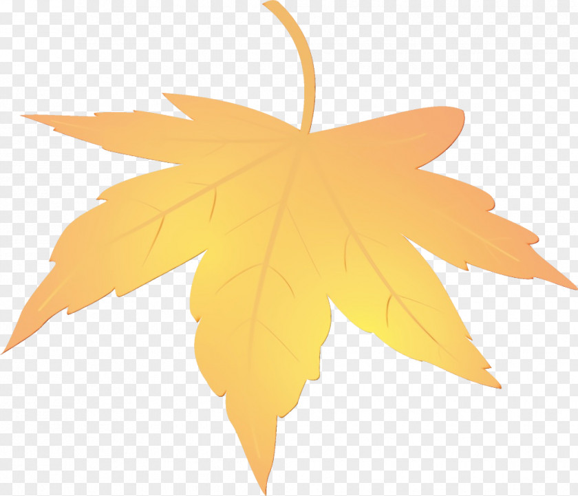 Sweet Gum Sky Maple Leaf PNG