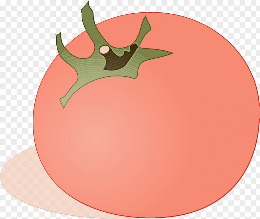 Tomato PNG