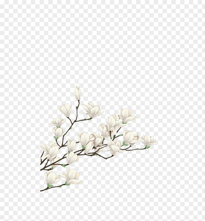 White Flowers Flower Computer File PNG