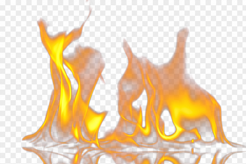 Alcohol Flame Fire Euclidean Vector PNG