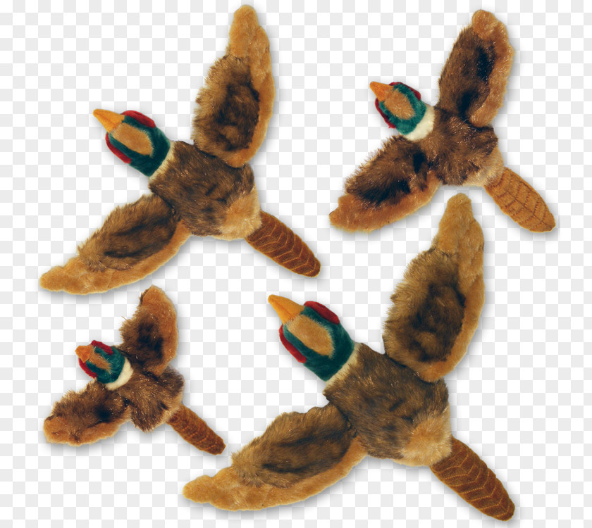 Dog Toys Ring-necked Pheasant Stuffed Animals & Cuddly Hunting PNG