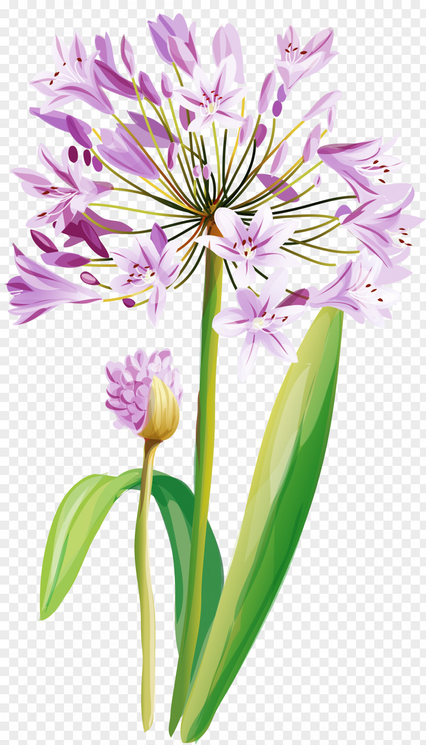 Flower Watercolor Painting Cut Flowers PNG