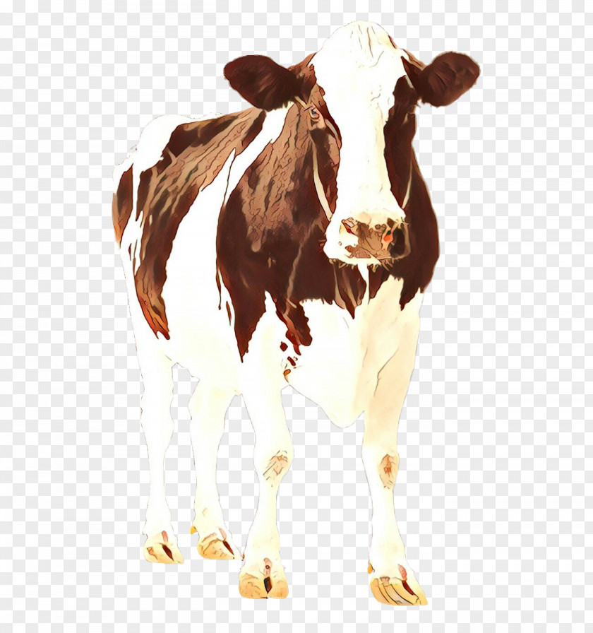 Holstein Friesian Cattle Calf Dairy Highland Jersey PNG