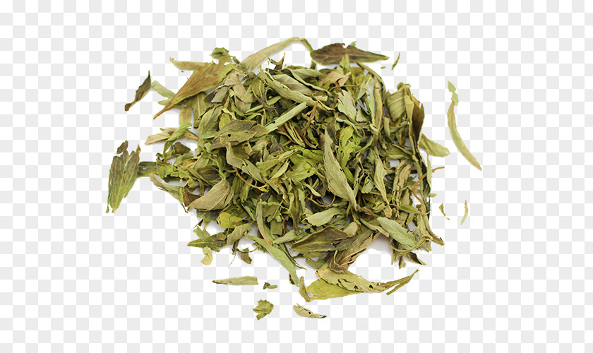 Stevia Hōjicha Nilgiri Tea Bancha Sencha Gyokuro PNG