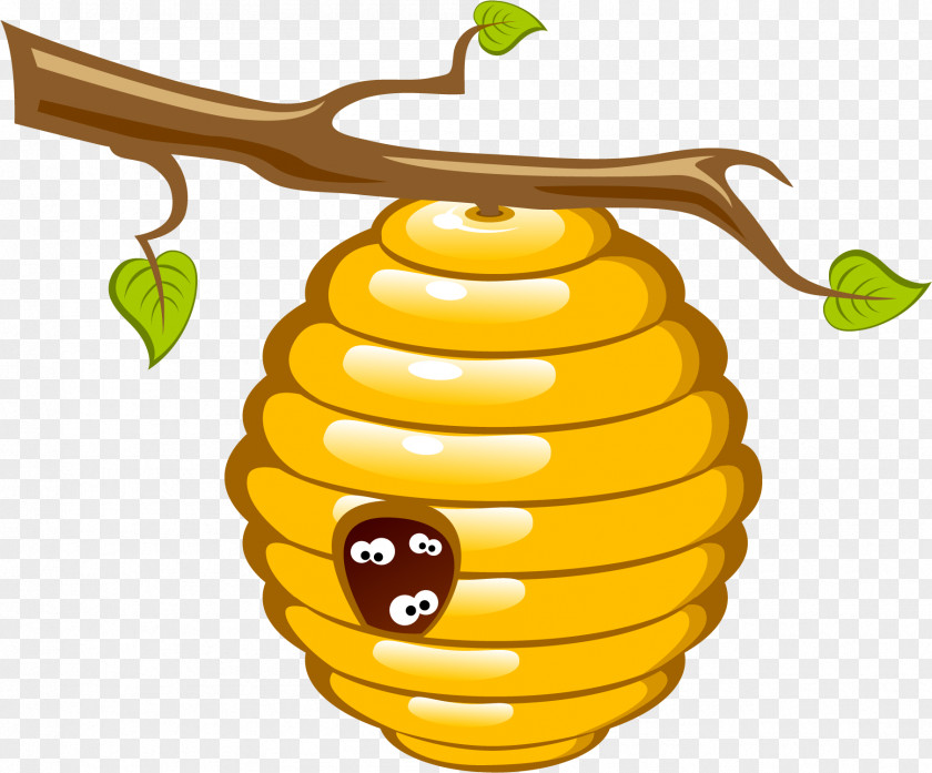 Bee Beehive Clip Art Honey Vector Graphics PNG