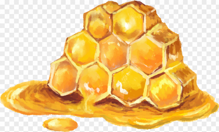 Honey Bees Decorative Elements Bee Mu0101nuka Manuka PNG