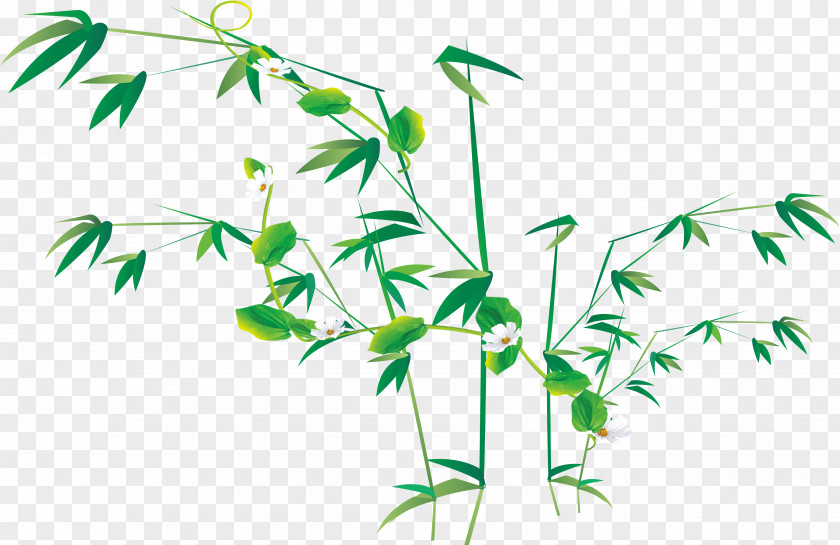 Bamboo Flower PNG